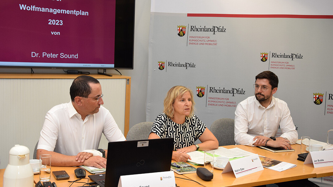 Pressekonferenz zur Vorstellung des aktuellen Wolfsmanagementplans mit Umweltministerin Katrin Eder.
