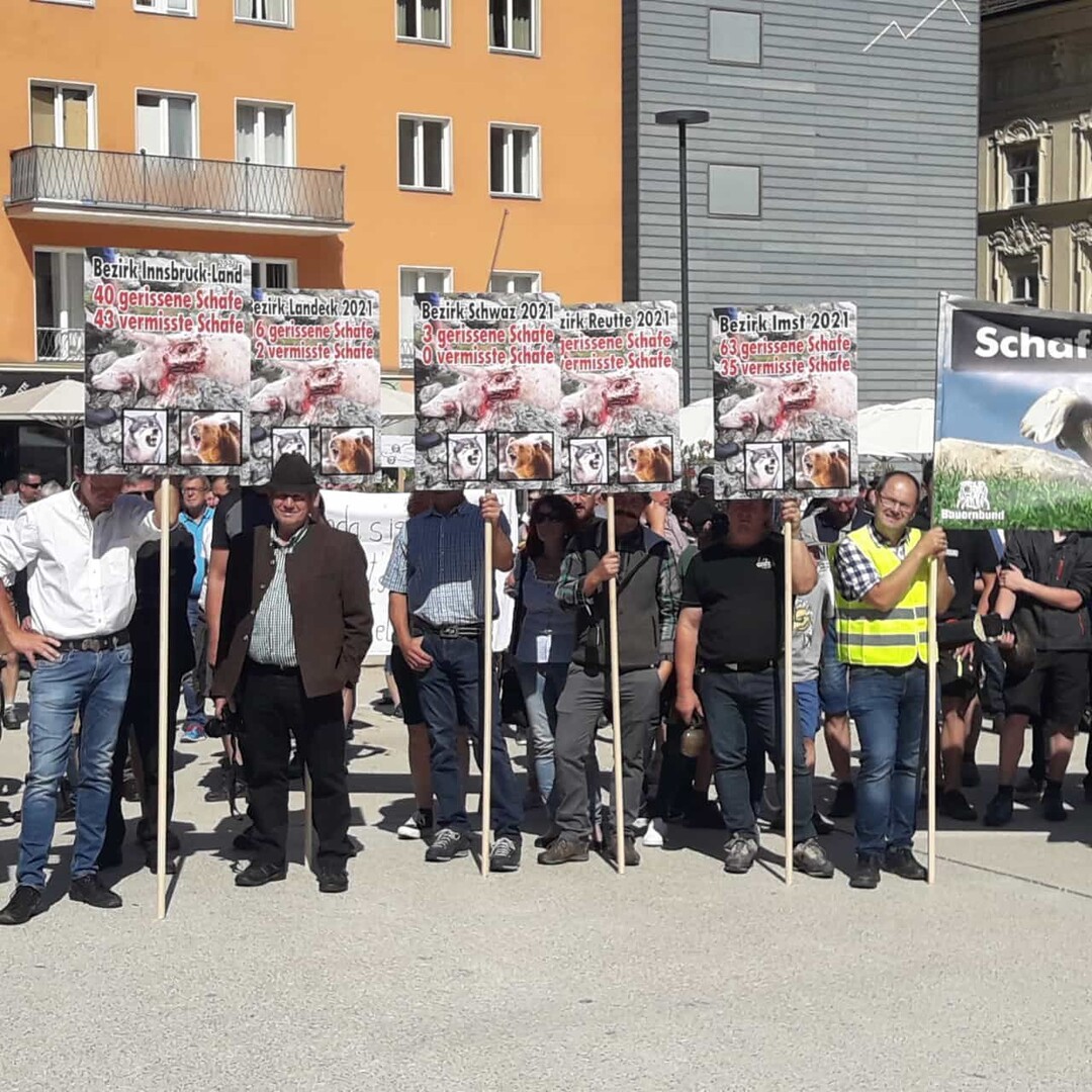 Mahnmarsch durch die Innsbrucker Innenstadt – mit unzähligen Transparenten und begleitet vom lautstarken Läuten hunderter Kuhglocken.