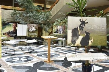 Ein Blick in die am 13. Mrz erffnete Ausstellung
