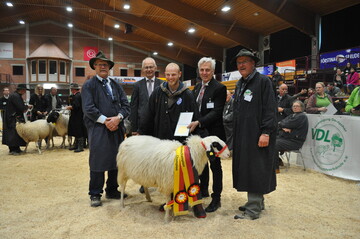 Das Brillenschaf von Stephan Kreuzer (Mitte) wird Bundeschampion bei der Bundesschau Schafe 2022. Neben ihm (v.l.): Alfons Gimber (VDL-Vorsitzender), Prof. Dr. Ludwig Theuvsen (Staatssekretr im Niederschsischen Ministerium fr Ernhrung, Landwirtschaft und Verbraucherschutz), Dr. Stefan Vll (VDL-Geschftsfhrer) und Werner Neumann (Stellvertretender VDL-Vorsitzender).