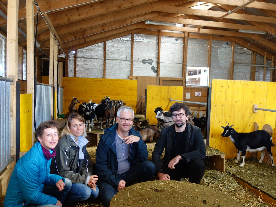 Ziegen lieben offenbar die Herausforderung. Dr. Nina Keil (v. li.) und Katrina Rosenberger (beide
Agroscope, Schweiz) sowie Dr. Jan Langbein und Dr. Christian Nawroth (beide Institut für Nutztierbiologie (FBN) in Dummerstorf, Deutschland)
erforschten gemeinsam die Lernfähigkeiten von Ziegen.