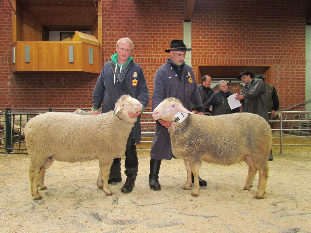 Herrenberger Bockauktion