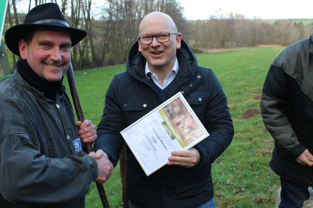 Der Landrat des Odenwaldkreises, Frank Matiaske (rechts), bernimmt eine Schafpatenschaft. Die Skudde aus der Zucht von Severiano Ortiz Fernandez steht in Kategorie 3 auf der Roten Liste der Gesellschaft zur Erhaltung alter und gefhrdeter Haustierrassen.