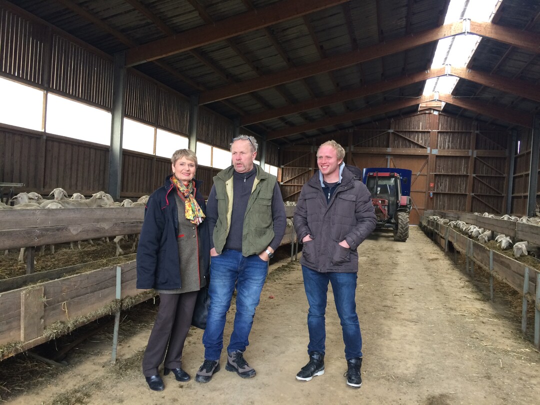Staatssekretrin Gurr-Hirsch besucht Schferei Gimber.