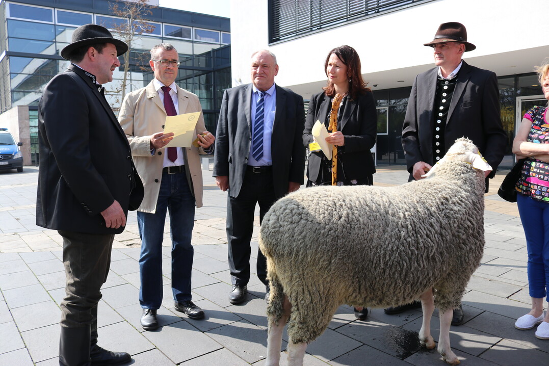 bergabe der Petition in Thringen (v.l.): Jens-Uwe Otto (Vorsitzender Landesverband Thringer Schafzchter e. V.), Peter Ritschel (Thringer Minsiterium fr Infrastruktur und Landwirtschaft, Abteilungsleiter Abteilung 6 Landwirtschaft, Markt, Ernhrung), Egon Primas (Vorsitzender Ausschuss Infrastruktur, Landwirtschaft und Forsten des Landtages Thringen, CDU), Anja Siegesmund (Ministerin fr Umwelt, Energie und Naturschutz, Bndnis 90/ Die Grnen), Gerd Steuding (Schfermeister Agrarprodukte Schwabhausen, Beiratsmitglied Landesverband Thringer Schafzchter e.V.).
 

