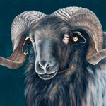 „Mister Müden 2012“ hat die Malerin Heike Schlobinski so fasziniert, dass sie ihn als Ölbild porträtiert hat.