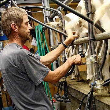 Mehr Milch durch regelmige Kontrolle und Zuchtfortschritt.