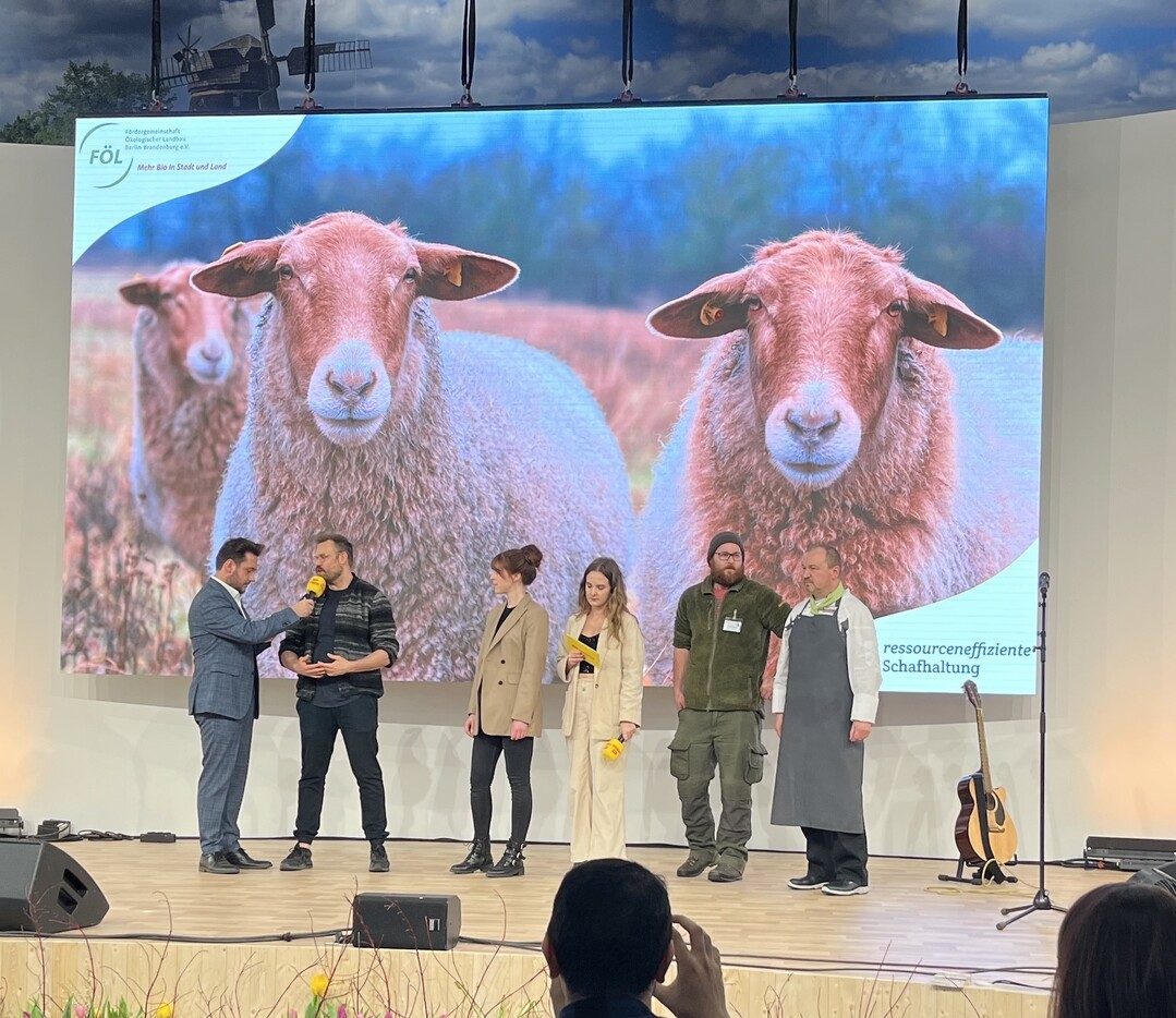 Prsentation auf der Grnen Woche in Berlin. v.l.: Moderator Christopher Hameister, Peter Schmidt (Frdergemeinschaft kologischer Landbau Berlin-Brandenburg), Alina Nietsch (Frankenfrder Forschungsgesellschaft mbH), Moderatorin Marie Gnther , Jonas Scholz (Schafzuchtverband Berlin-Brandenburg), Thorsten Kleinschmidt (Studentenwerk Frankfurt/Oder)