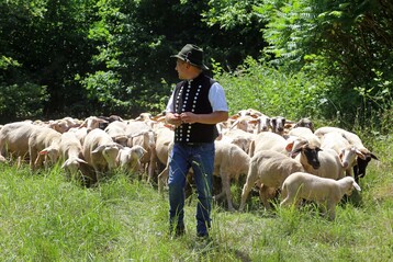 Die Schfer mit ihren Tieren tragen wesentlich zum Erhalt der Kulturlandschaft und zum Naturschutz im Biosphrenreservat Pflzerwald bei.