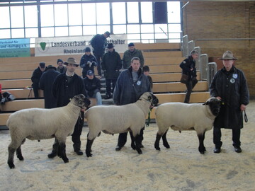 Limburger Bockauktion