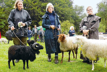 Die Gewinner des Tages: 
Mr. (l) und Mrs. Warder sowie 
die Wollsiegerin (r) 2021