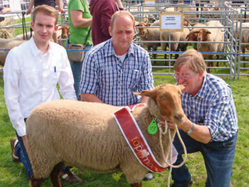 Manfred Tomforde (r.) neben den Preisrichtern Jochen Fass und Sebastian Ostmann (l.) ist ein erfolgreicher Schafzchter. Auf der Tierschau in Stollhamm 2016 stellte er mit dem besten Jungschaf der Rasse Coburger Fuchsschaf das Topmodel. 