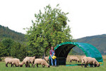 Kleintierzelt für Schafe