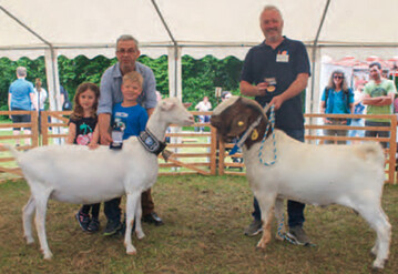 Champions von Illerbeuren: Die WDE-Jungziege von Werner Sauer (l.) und der Burenbock Laxor aus der Zucht von Marco Marek.
