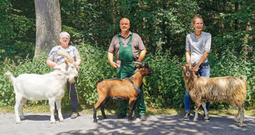 Die besten Bcke des Tages (v.l.): WDE-Bock aus der Zucht Eusterwiemann, BDE-Bock (Landessieger) aus der Zucht Sieverdingbeck und der typvolle Toggenburger Bock aus der Zucht des Tierparks Herne, vorgefhrt von Birgit Claus.