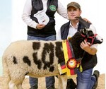 Heike und Dirk Priebe freuten sich sehr über den großen Erfolg ihres Jakob-Mutterschafes mit der Kat.-Nr. 563.