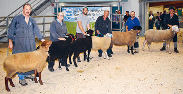 Jede Rasse stellte ihren Sieger (v.l.): Coburger Fuchsschaf von Franz Vgerl, Zwartbless von Marianne Hobmaier, Juraschaf von Johann Morigl, gefhrt von Martin Winkelmair, Texel von Peter Bittl, Suffolk von Anja Sterzer, gefhrt von Waldemar Sterzer, und Merinolandschaf von Michael Schlamp.