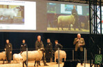 Schafpräsentation im TopTierTreff bei der letzten EuroTier.