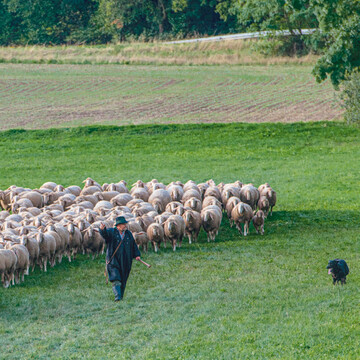 Sieger Florian Hirsch mit seinen Htegespann beim Landes leistungshten in Bayern 2022.