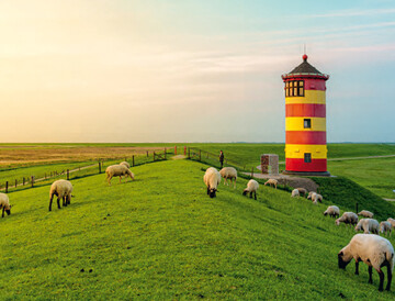 In der Schafzucht 13/2022 ist Niedersachsen die Region im Fokus.