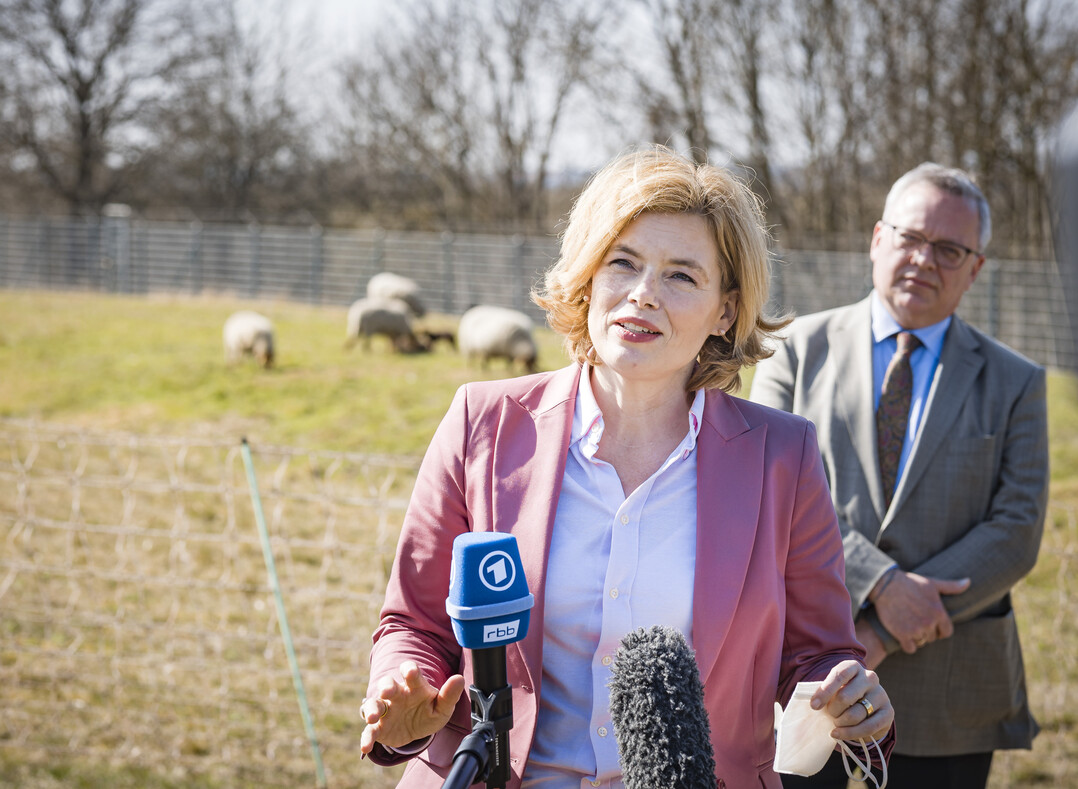 Bundesministerin Julia Klckner bei der Erffnung des Bundeszentrums Weidetiere und Wolf am 31. Mrz 2021 in
Eberswalde.  