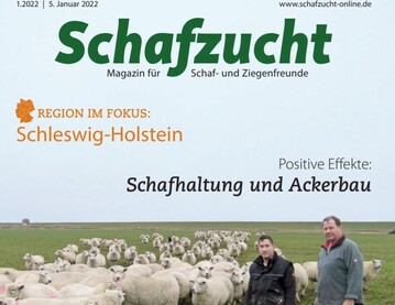 Karl Henning Hinz und sein Sohn Max beim tglichen Schaf-Check an einem typischen "Herbstwintertag" in Schleswig-Holstein.
