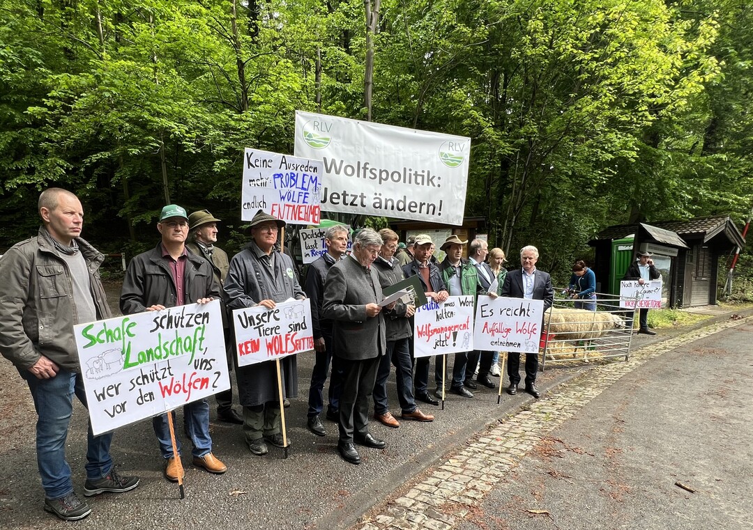 Schfer und Weidetierhalter zeigten Prsenz am Zufahrtsweg
zum Tagungshotel der UMK. Der Prsident des Rheinischen Landwirtschaftsverbandes,
Bernhard Conzen (Mitte), verliest die Forderungen
zum Umgang mit dem Wolf. Mit dabei: Werner Neumann
von der VDL (4.v.l.).