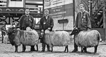 Alle Landschafzchter sind herzlich
eingeladen, auf der 4. Bundesschau
ihre Tiere zu prsentieren.