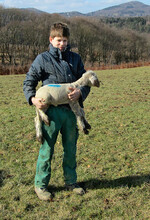 Leider trifft man nur noch vereinzelt
auf junge Menschen, die von Schafen
und der Schäferei begeistert sind und
die diesen Beruf ergreifen möchten.