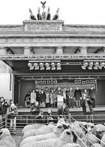 Bei der großen Demonstration
der Schäfer 2007 in Berlin hatten
sich Agrarpolitiker aller Parteien für
eine Unterstützung der Schafhaltung
ausgesprochen.