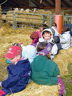 Jan H. Peters: „Kindergärten und andere
Interessierte sind während der Lammzeit
bei uns immer willkommen!“