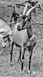 Auf nach Freiburg: Ein interessantes
Programm erwartet die Teilnehmer!