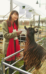 Ulrike Höfken wurde einstimmig als BDZ-Vorsitzende wiedergewählt.