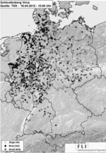 Friedrich Loeffler-Institut: Aktuelle Informationen zum Schmallenberg-Virus