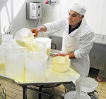 Ein Familienbetrieb: Salvatore Demarcus arbeitet mit seinen Töchtern in der Käserei, während sich seine Söhne um die Schafe kümmern.