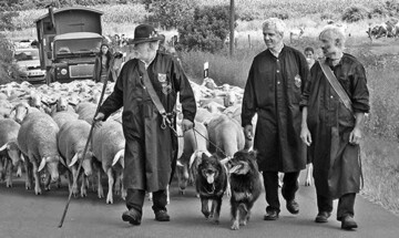 Auf dem Weg von Blomberg nach Paderborn (von links): Schfermeister Anton
Hense, Dr. Stefan Vll und Schfermeister Klaus Seebrger. Im Tross der von der
Fa. Stark gesponsorte Hirtenwagen.