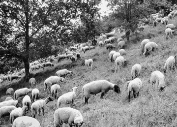 Ein Gesprch mit der Naturschutzbehrde
schtzt bei Vor-Ort-Kontrollen.