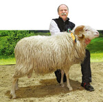 Fachausschuss OviCap: Andreas Humpert ist neuer Vorsitzender