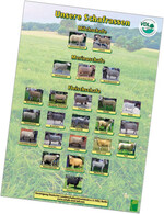 POSTER: Unsere Schaf- und Ziegenrassen