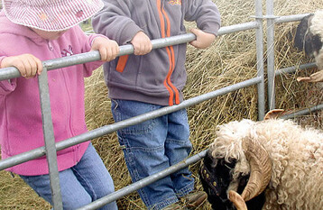 Deutsche-Wildtier Stiftung (DWS): Erschreckende Naturfremde bei Kindern