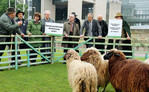 Nordrhein-Westfalens Landwirtschaftsminister Johannes Remmel (3. von rechts) ließ sich vor dem Landtag in Düsseldorf die Anliegen der Schäfer erklären.