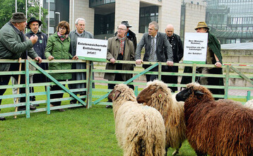 Nordrhein-Westfalens Landwirtschaftsminister Johannes Remmel (3. von rechts) lie sich vor dem Landtag in Dsseldorf die Anliegen der Schfer erklren.