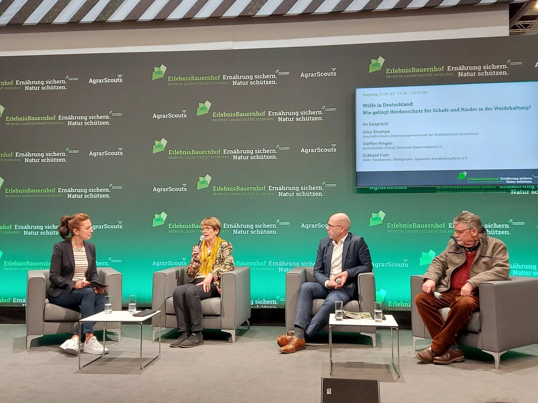 Im Gesprch auf der Bhne des Erlebnisbauernhofes (Halle 3.2) zum Thema "Wie gelingt Herdenschutz fr Schafe und Rinder in der Weidehaltung?": Eckhard Fuhr, stellv. Vorsitzender JV Brandenburg-Berlin, Steffen Pingen, Bereichsleiter Umwelt, DBV, Gina Strampe, Geschftsfhrerin WNON (v.r.)