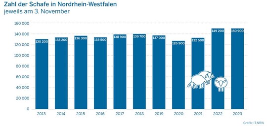 Zahl der Schafe in Nordrhein-Westfalen jeweils am 3. November